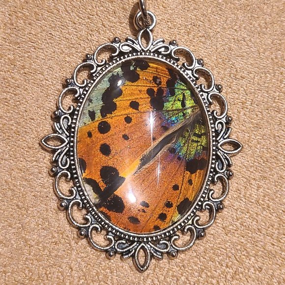 Genuine Butterfly Wing Pendant Madagascar Sunset Moth - Picture 3 of 6